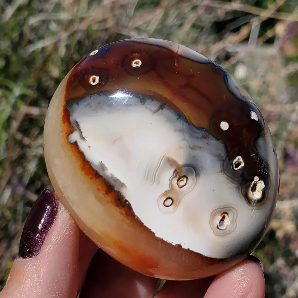 Eyes on Back Orca Agate Carnelian Stone Crystal UNIQUE Palmstone 180 grams